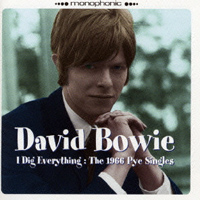 I DIG EVERYTHING:THE 1966 PYE SINGLES
