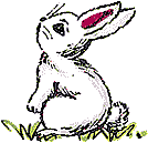 bunny